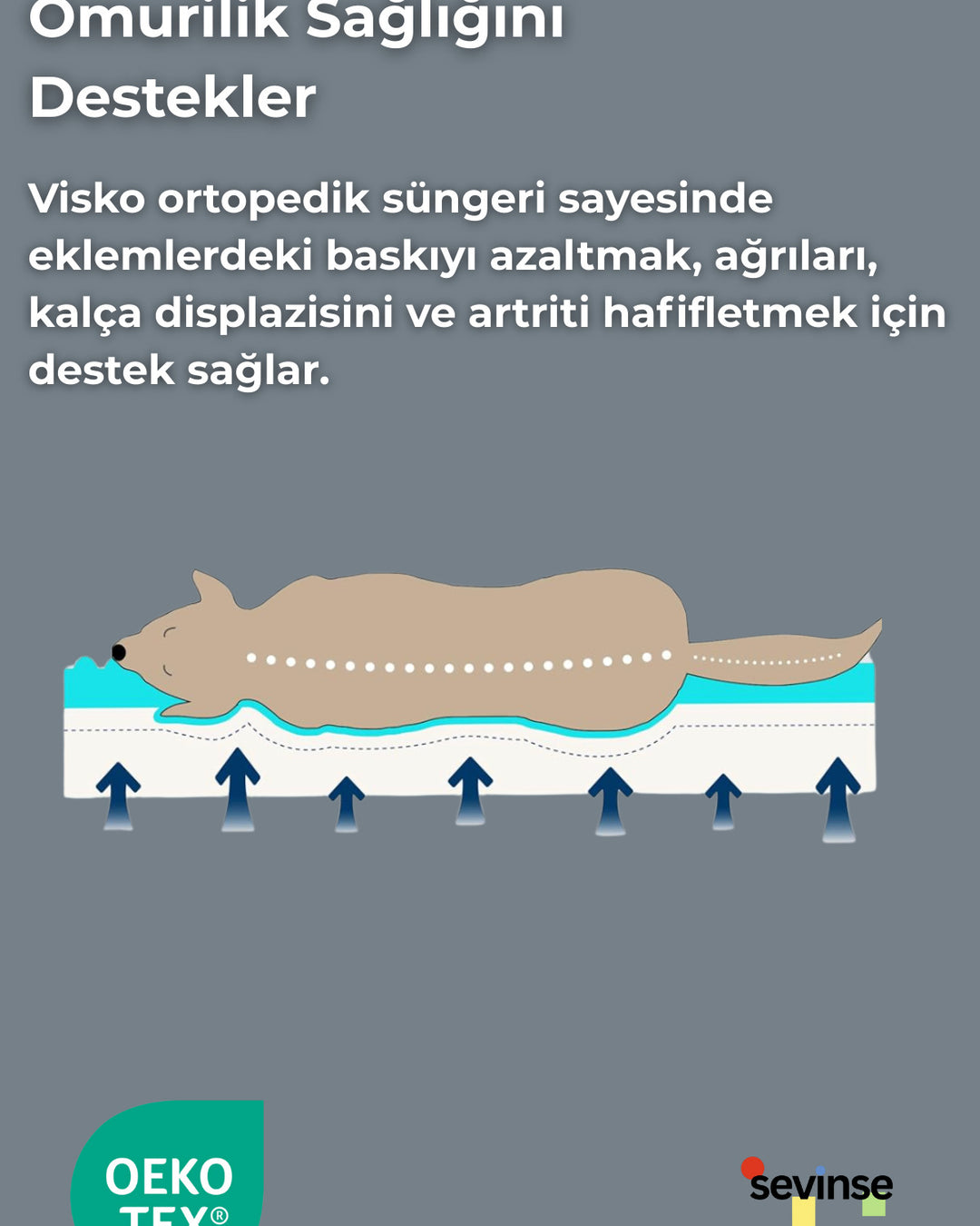 Astro Ortopedik Yıkanabilir Visco Kedi ve Köpek Yatağı, Destekleyici Yatak