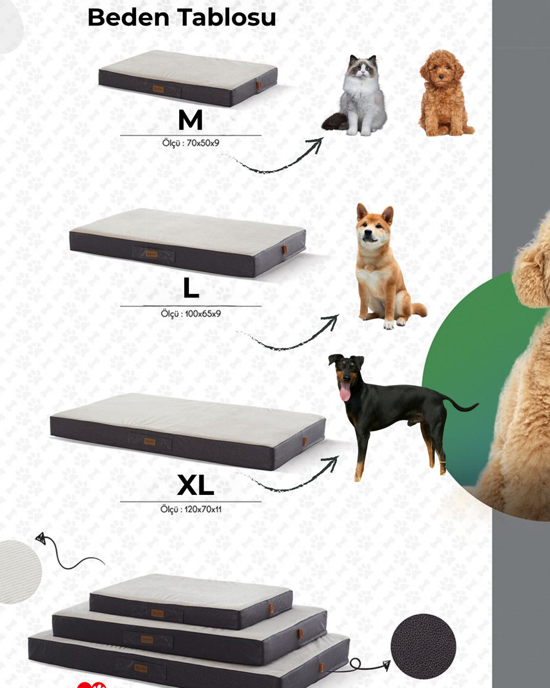 BUDDY Ortopedik Kedi ve Köpek Yatağı Krem