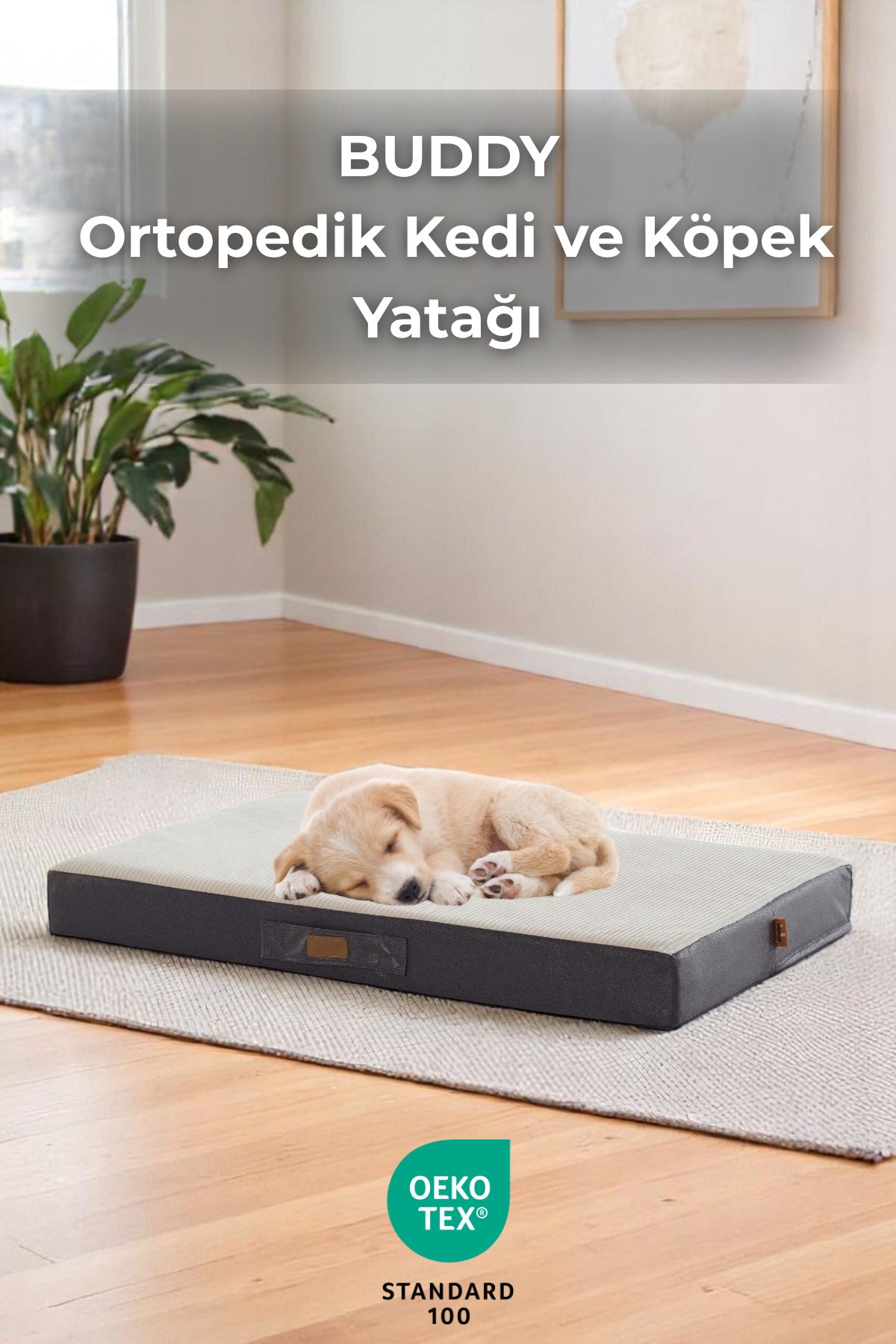 BUDDY Ortopedik Kedi ve Köpek Yatağı Krem