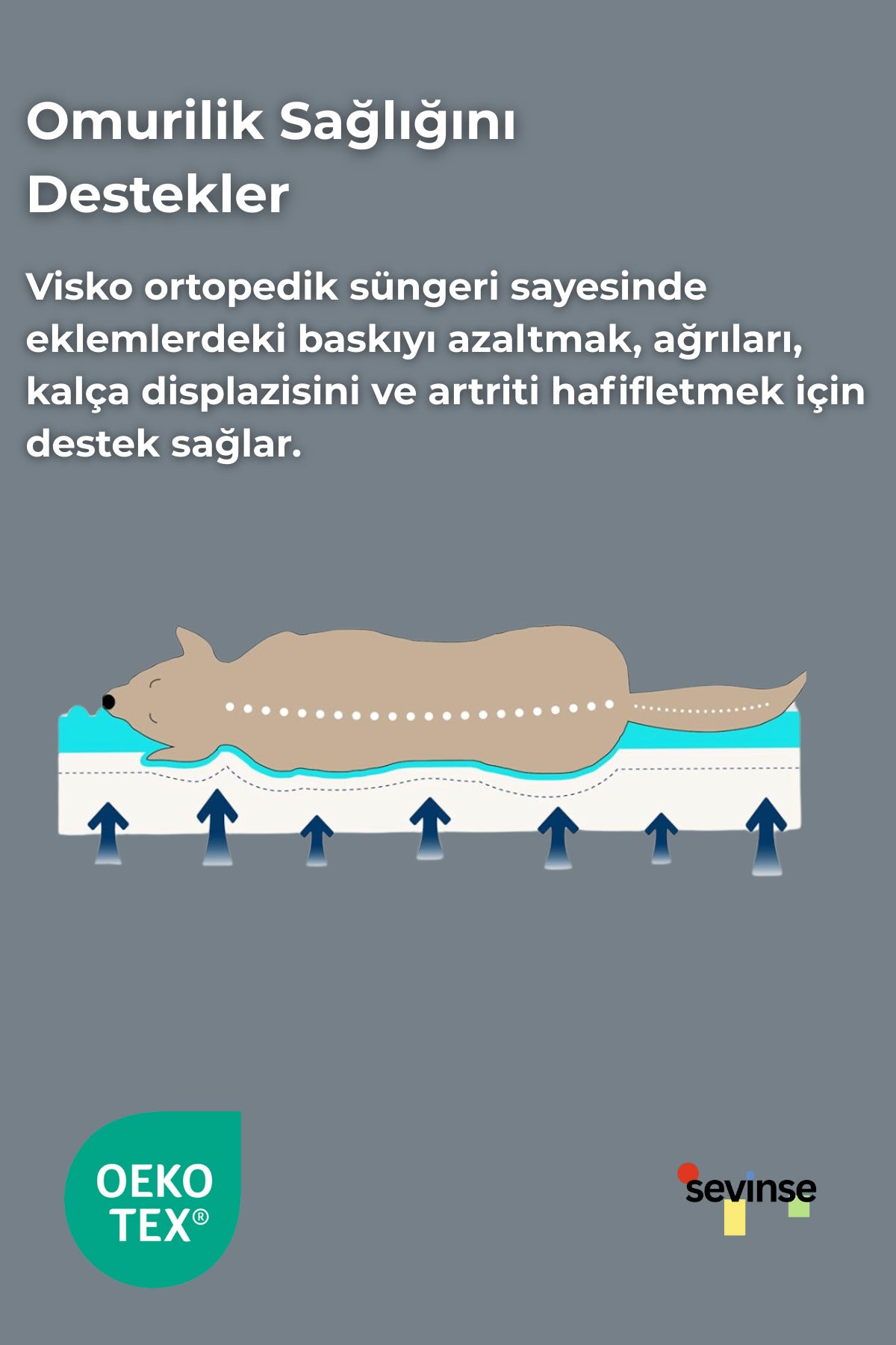 Astro Ortopedik Yıkanabilir Visco Kedi ve Köpek Yatağı, Destekleyici Yatak