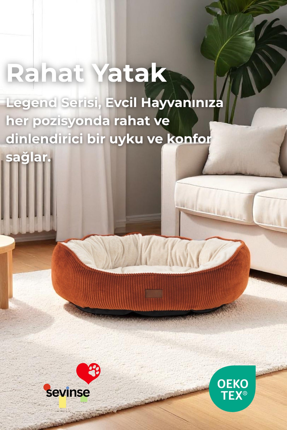 Legend Kiremit Kedi ve Köpek Yatağı, salon içinde