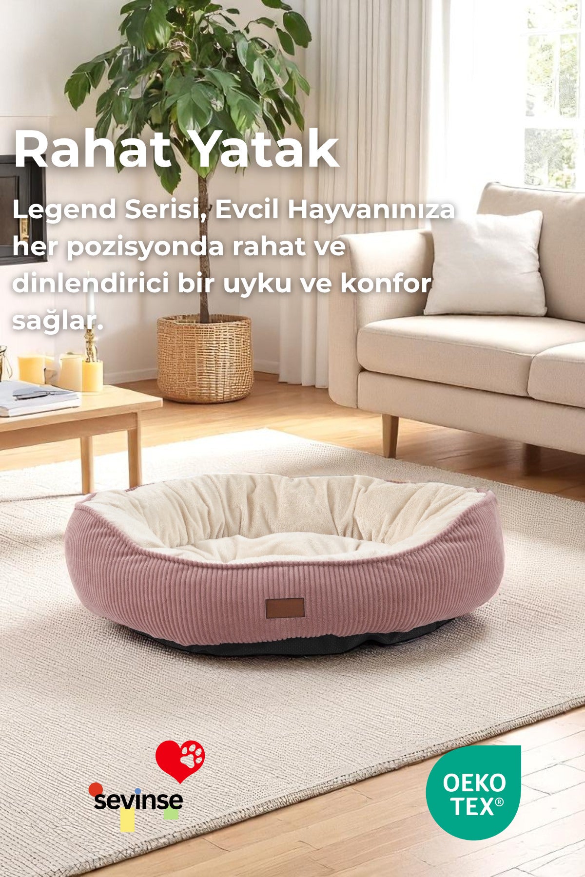 Legend Pudra Kedi ve Köpek Yatağı, salon içinde